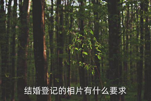 結婚登記照要求，請問結婚證照片有什么要求嗎