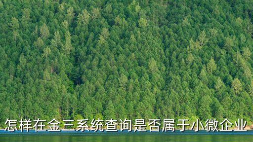 小微企業(yè)查詢，怎樣在金三系統(tǒng)查詢是否屬于小微企業(yè)
