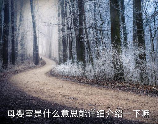 母嬰室是什么意思能詳細介紹一下嘛
