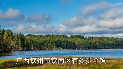 那思鎮(zhèn)，廣西欽州市欽南區(qū)有多少個鎮(zhèn)
