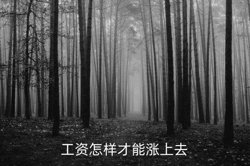 漲工資，如何快速的漲工資