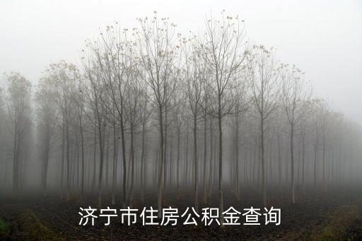 濟(jì)寧市住房公積金查詢