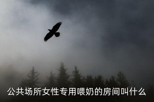 哺乳室，母嬰室是什么意思能詳細(xì)介紹一下嘛