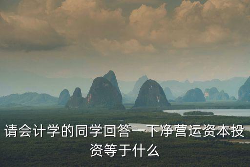 凈營(yíng)運(yùn)資本，每股凈營(yíng)運(yùn)資本怎么計(jì)算求高手指教