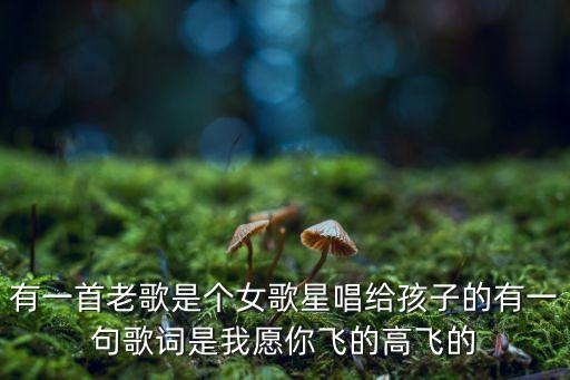 有一首老歌是個女歌星唱給孩子的有一句歌詞是我愿你飛的高飛的