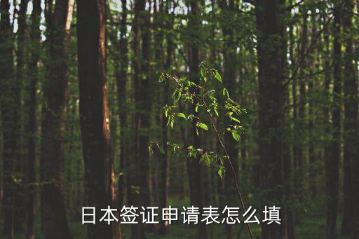 日本簽證申請(qǐng)表怎么填