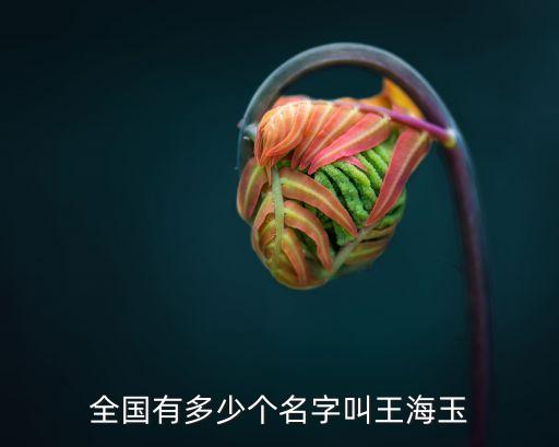 全國有多少個名字叫王海玉