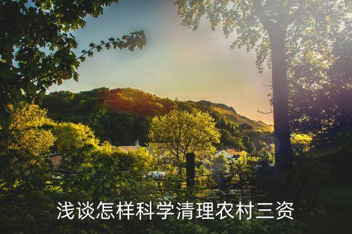 農(nóng)村三資，農(nóng)村三項資金指的什么