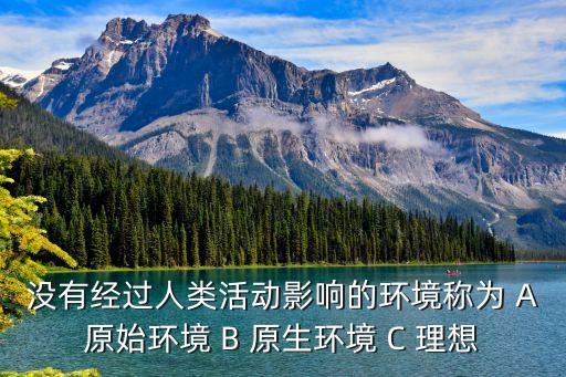 沒有經(jīng)過人類活動影響的環(huán)境稱為 A原始環(huán)境 B 原生環(huán)境 C 理想