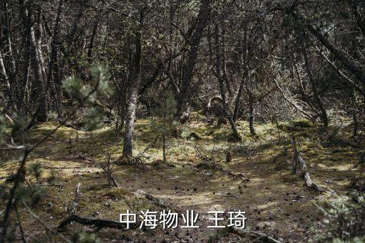 中海物業(yè) 王琦