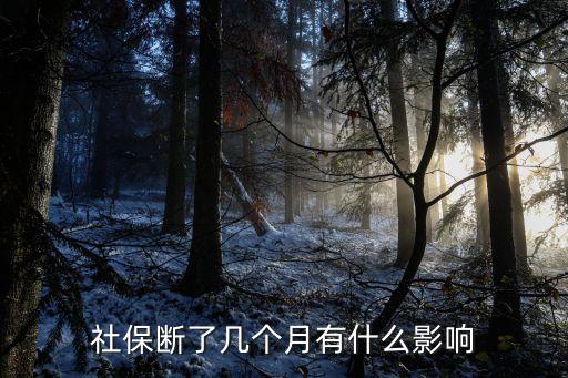 社保斷了幾個(gè)月有什么影響，如果我的社保中間斷繳三個(gè)月有什么影響