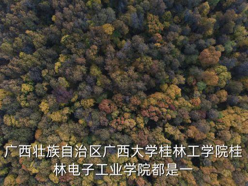 桂林電子工業(yè)學(xué)院，廣西壯族自治區(qū)廣西大學(xué)桂林工學(xué)院桂林電子工業(yè)學(xué)院都是一