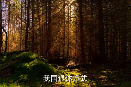 退休制度，我國退休方式
