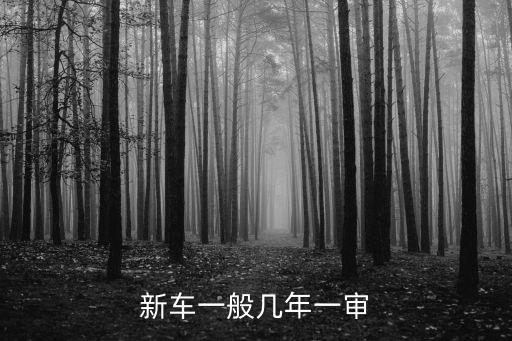 新車一般幾年一審