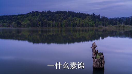 一什么素錦
