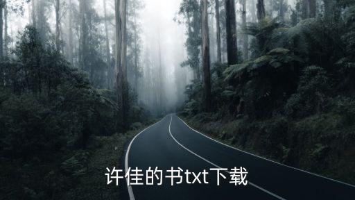 許佳的書txt下載