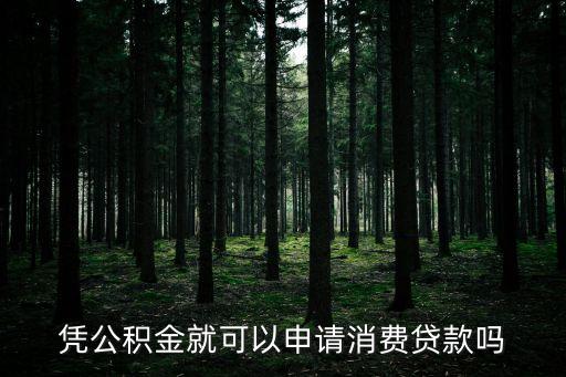 憑公積金就可以申請消費貸款嗎