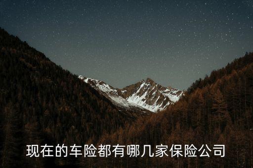 車險(xiǎn)有哪些公司，車險(xiǎn)公司都有哪些