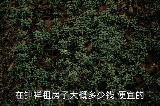 在鐘祥租房子大概多少錢 便宜的