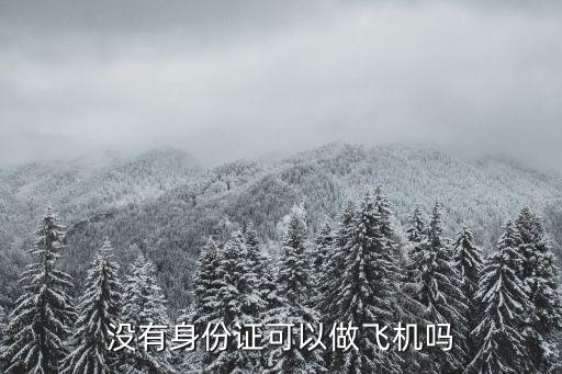 沒帶身份證可以坐飛機嗎，沒有身份證可以登機嗎