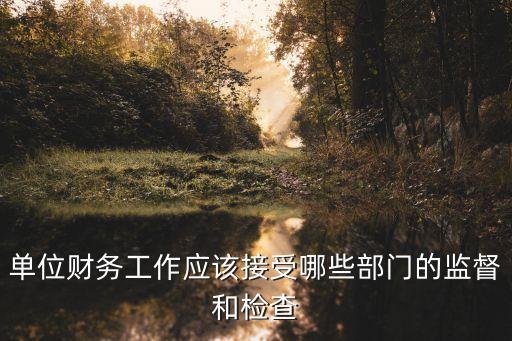 財務(wù)監(jiān)督，事業(yè)單位財務(wù)監(jiān)督內(nèi)容的有哪些