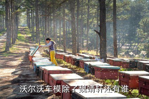劉雨柔，沃爾沃車模除了魏靖軒還有誰