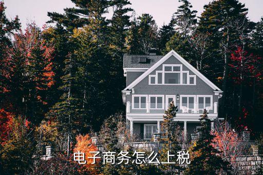電商稅，電子商務(wù)怎么上稅