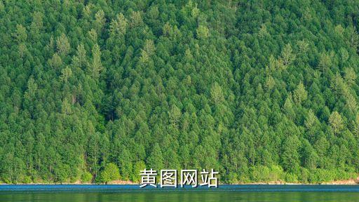 免費(fèi)黃圖，黃圖網(wǎng)站