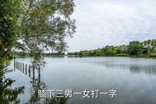膝下三男一女打一字