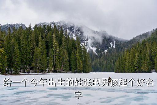 給一個(gè)今年出生的姓張的男孩起個(gè)好名字