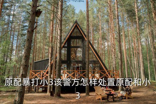 原配暴打小3該警方怎樣處置原配和小3