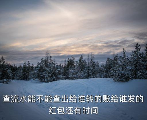 查流水能不能查出給誰轉(zhuǎn)的賬給誰發(fā)的紅包還有時間