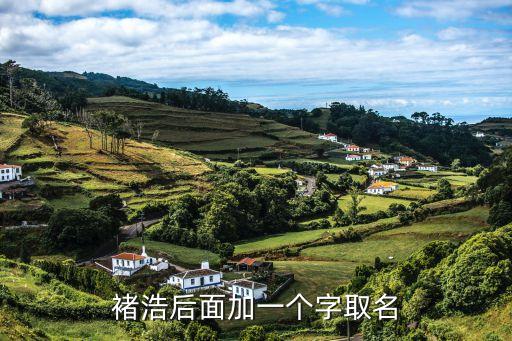 褚浩后面加一個字取名