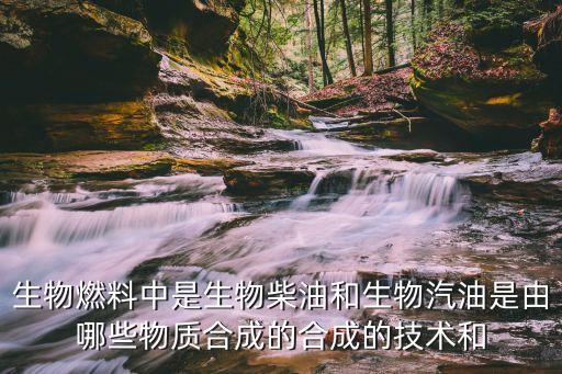 生物燃料中是生物柴油和生物汽油是由哪些物質(zhì)合成的合成的技術(shù)和