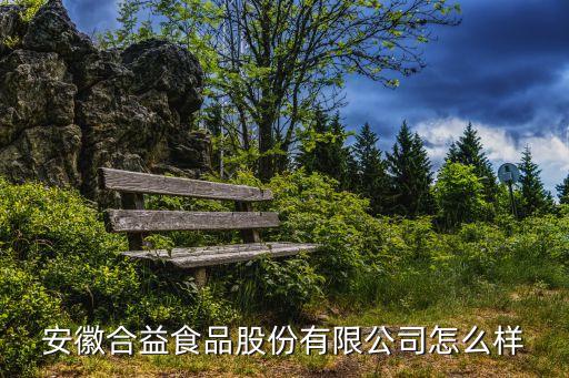 安徽合益食品股份有限公司怎么樣