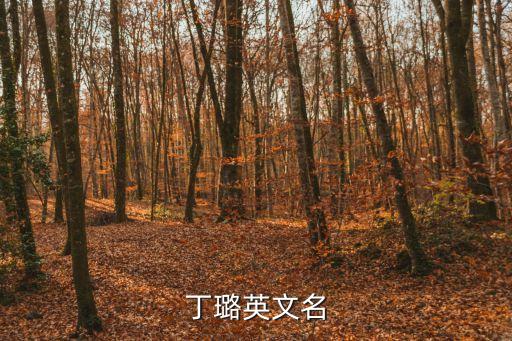丁璐，誰給我整首藏頭詩名字丁璐