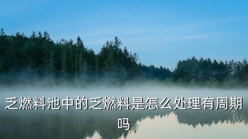 乏燃料池中的乏燃料是怎么處理有周期嗎