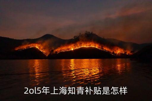 上海人才補貼，上海中小型企業(yè)招聘應(yīng)屆畢業(yè)生的補貼政策是什么