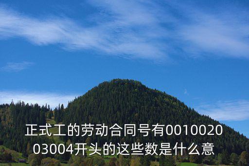 合同數(shù)，勞動合同編號的數(shù)字都代表什么意思