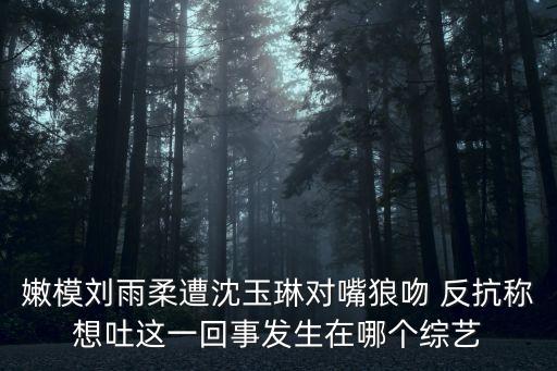 嫩模劉雨柔遭沈玉琳對嘴狼吻 反抗稱想吐這一回事發(fā)生在哪個綜藝