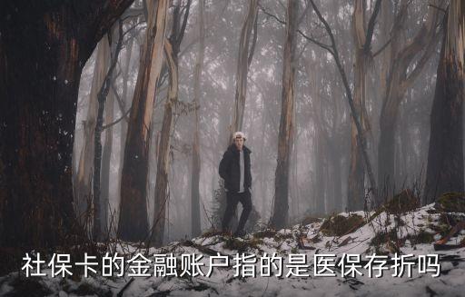 金融賬戶，中央銀行為金融機構(gòu)開立的賬戶包括