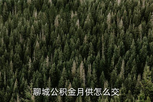 聊城住房公積金，聊城公積金個人查詢方式有哪些