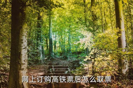 高鐵怎么取票，網(wǎng)上訂購高鐵票后怎么取票