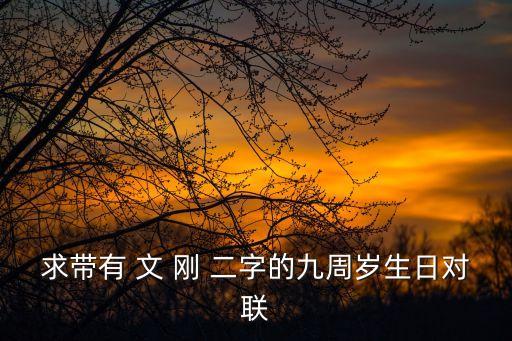 求帶有 文 剛 二字的九周歲生日對(duì)聯(lián)