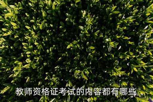 教師資格考試，什么是教師資格考試