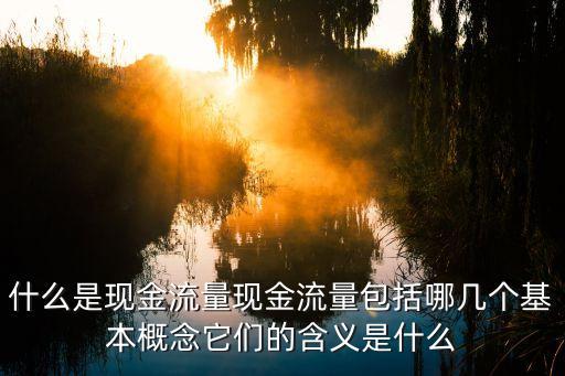 現(xiàn)金流量，什么是現(xiàn)金流量現(xiàn)金流量包括哪幾個基本概念它們的含義是什么
