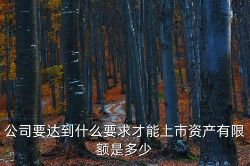 上市標準，公司要達到什么要求才能上市資產(chǎn)有限額是多少