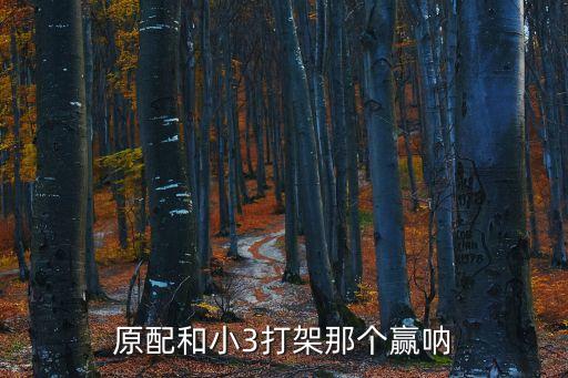 原配和小三打架，原配暴打小3該警方怎樣處置原配和小3