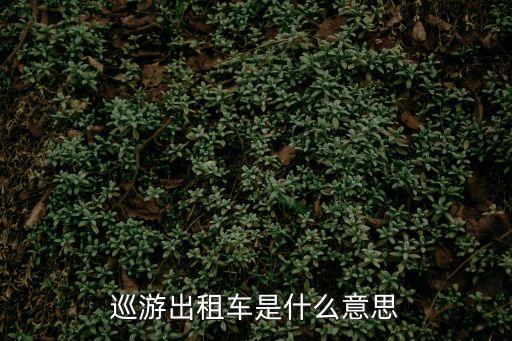 巡游出租汽車，巡游出租車是什么意思