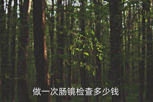 醫(yī)院做腸鏡多少錢，做一次腸鏡檢查多少錢